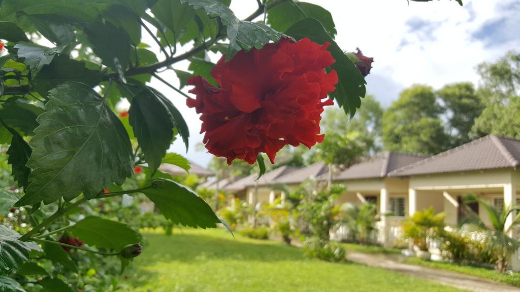 Готель The Moonflower Bungalow Сіануквіль Екстер'єр фото